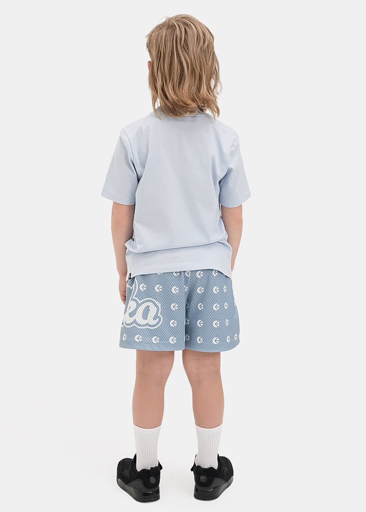 Boys Ice Banda Basketball Short